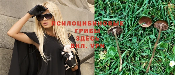 дмт Зерноград