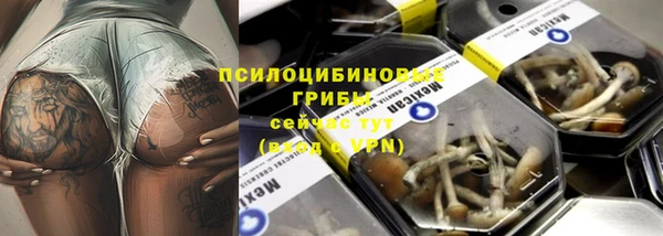 дмт Зерноград