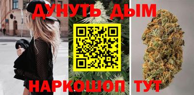 стаф Кохма