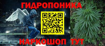 стаф Кохма