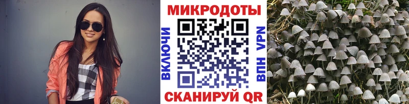 Псилоцибиновые грибы GOLDEN TEACHER  Купить  Заинск 